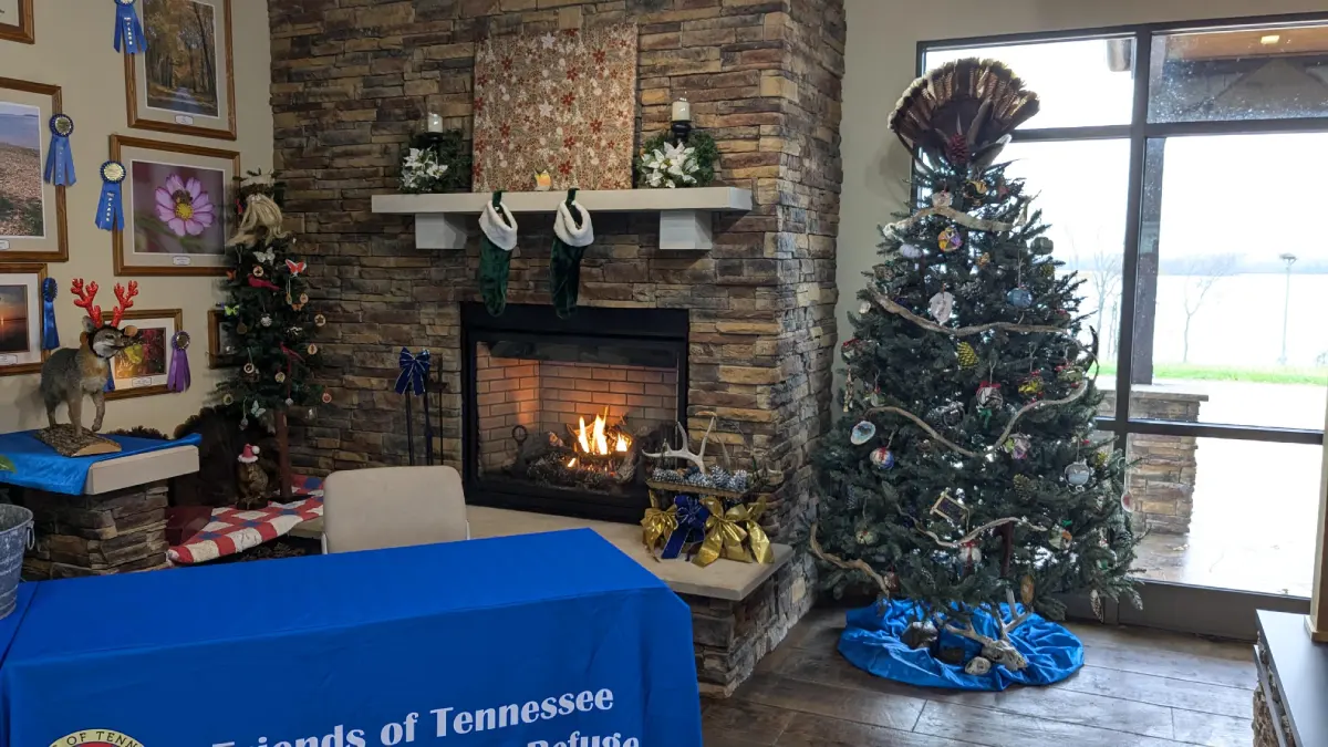 Tree Trimming